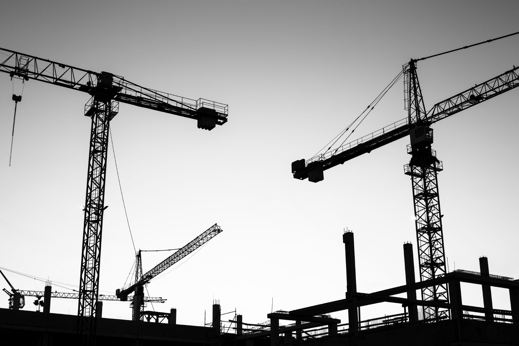 Black and white photo of two cranes